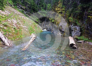 Tilted beds into river in Glacier National Park