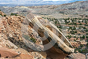 Tilted Boulder beside the Serpent\'s Trail in the Colorado National Monument