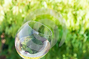 Tilted glass of white dry wine on green foliage vines background. Authentic lifestyle image. Relaxation indulgence gourmet