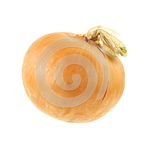 Tilted onion