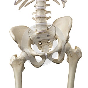 A tilted pelvis