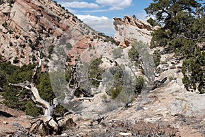 Tilted Sandstone ridges with Pinyon Juniper Woodlands