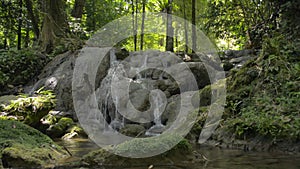 Tilting shot of  fresh water flows from cascade in tropical forest during summer.