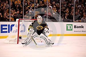Tim Thomas Boston Bruins