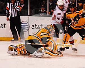 Tim Thomas Boston Bruins.