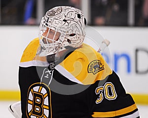Tim Thomas, Boston Bruins