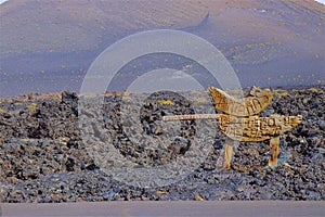 Timanfaya national park in Lanzarote, Canary islands