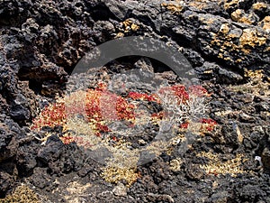 Timanfaya National Park is a national park in the Canary Islands