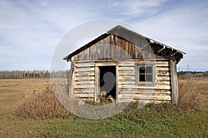 A timber cabin, Alberta