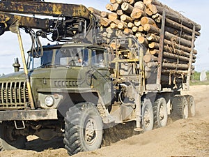 The timber carrying vessel