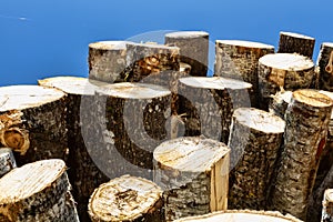 Timber cutting. Stack of spruce logs