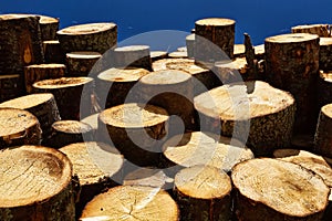 Timber cutting. Stack of spruce logs