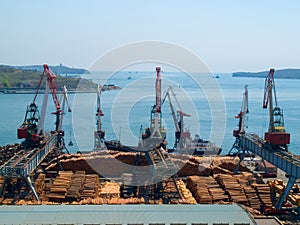 timber export at cargo port