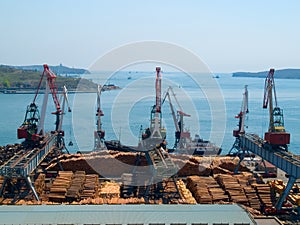 Timber export at Vladivostok photo