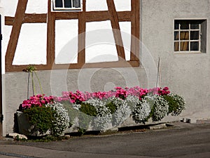 Timber framed facade with large flower trough