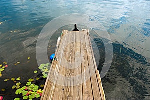 Gangplank to the lake. Wooden gangplake with water lilies on water, Lake Canada, USA