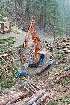 Timber harvesting in Austria. photo