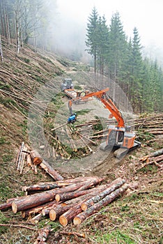 Timber harvesting in Austria. photo