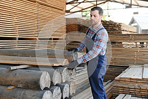 Timber harvesting for construction. Carpenter stacks boards. Industrial background. Authentic workflow.