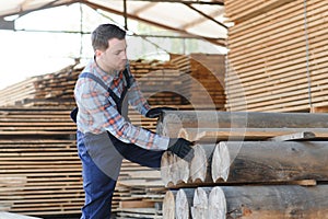 Timber harvesting for construction. Carpenter stacks boards. Industrial background. Authentic workflow.