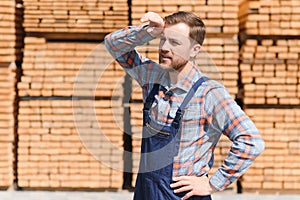 Timber harvesting for construction. Carpenter stacks boards. Industrial background. Authentic workflow.