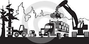 Timber harvesting in the forest