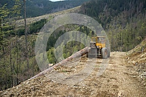 Timber harvesting
