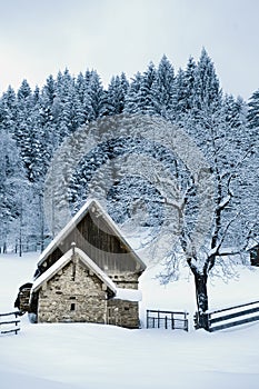 Timber House In Snowy Landscape