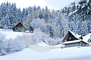 Timber Houses In Snowy Landscape