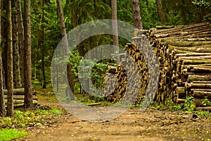 Timber industry, lumbering
