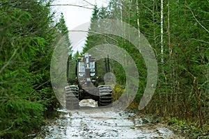 timber loader