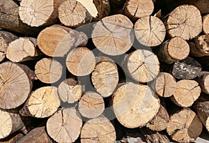 Timber log cut wooden, natural textured background. Many heartwood wall logs stacked various sizes pile of firewood.