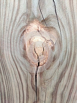 Timber log with natural viens and remarkable knots photo