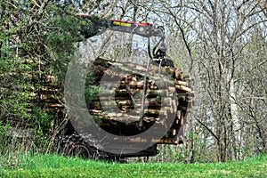 Timber on a Logging Truck