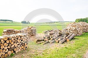 Timber logs