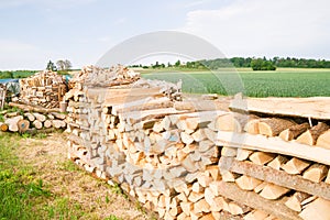 Timber logs