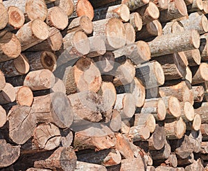 Timber logs