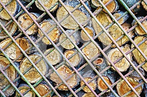 Timber logs behind metal grates