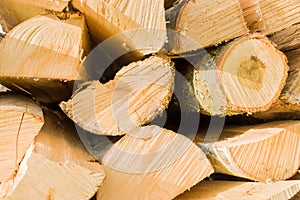 Timber logs