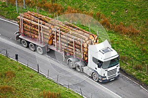Timber logs on truck trailer