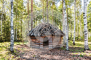 Timber made hut in birch forest