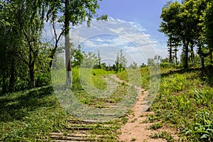 Timber-paved footpath along trail in grass on sunny summer day