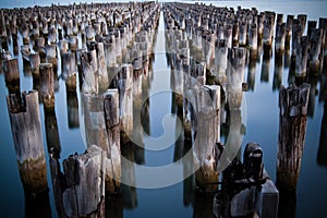 Timber Pier supports