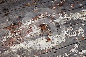 Timber planks Corroded.. Closeup.
