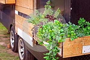 Timber Planter Box On A Truck