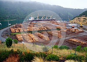 Timber port near Picton NZ. photo
