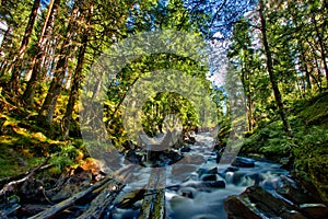Timber rafting ruins in Sweden