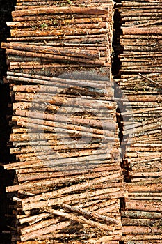 Holz Ressourcen 