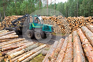 Timber resources