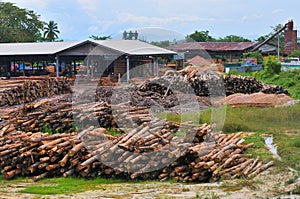 Timber Sawmill Series 6